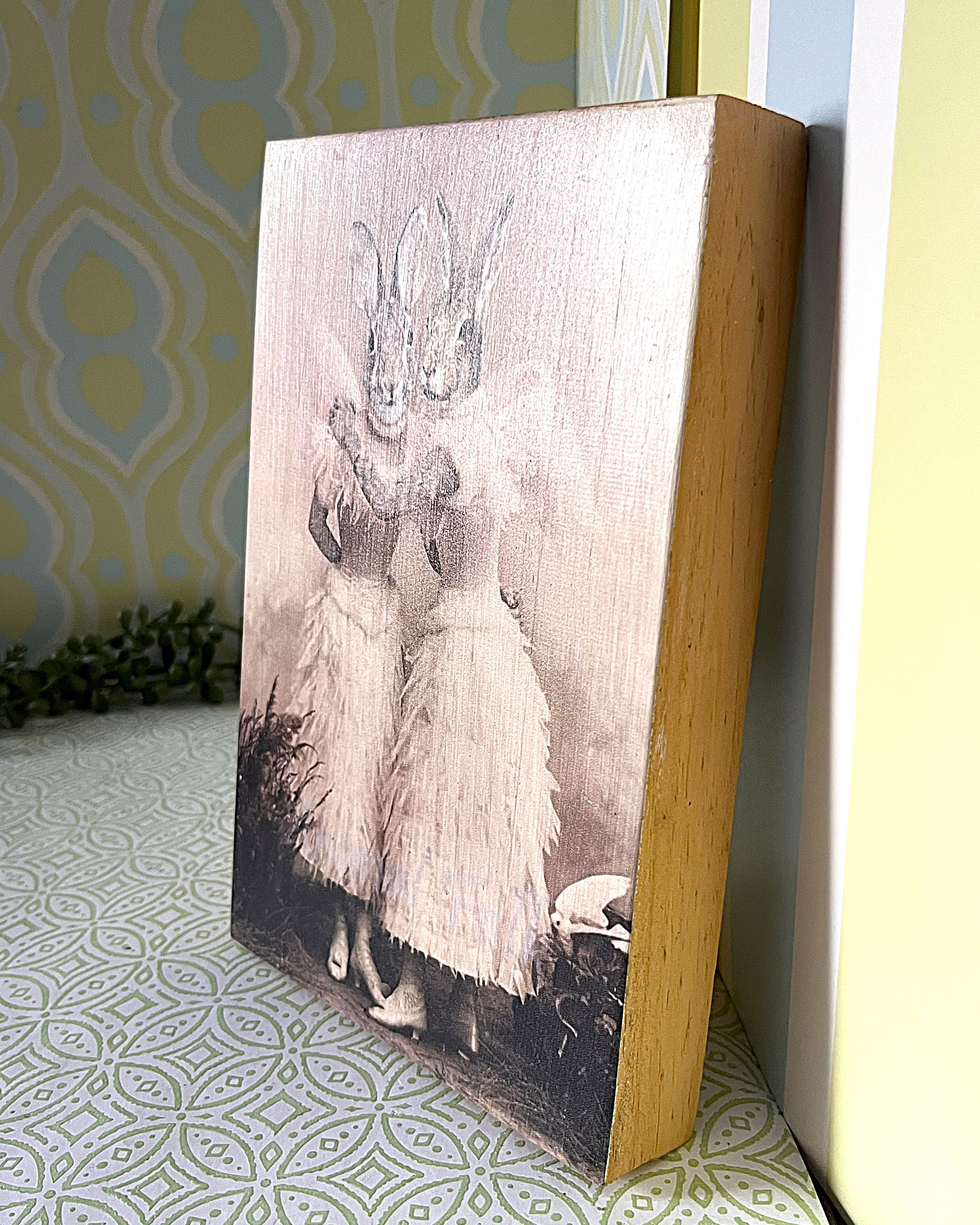 Bookshelf Art: Noctropolis "Angel Rabbit Sisters" Altered Art Wood Block