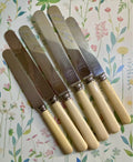 Cutlery: Viners of Sheffield Ivorine Dinner Knives, Set of 6