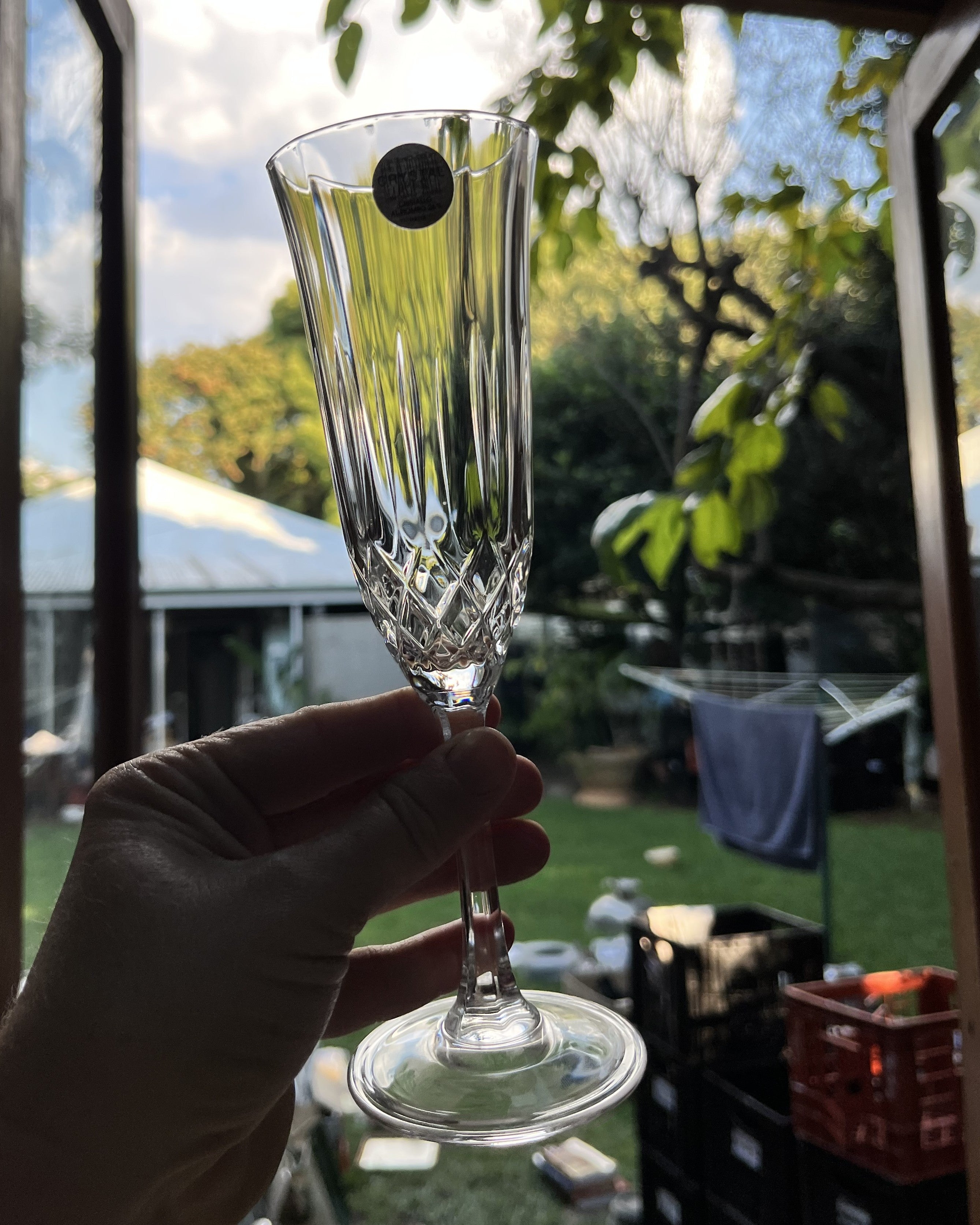 Stemware: Capri Crystal Champagne Flutes, 24% Lead Crystal, Set of 4