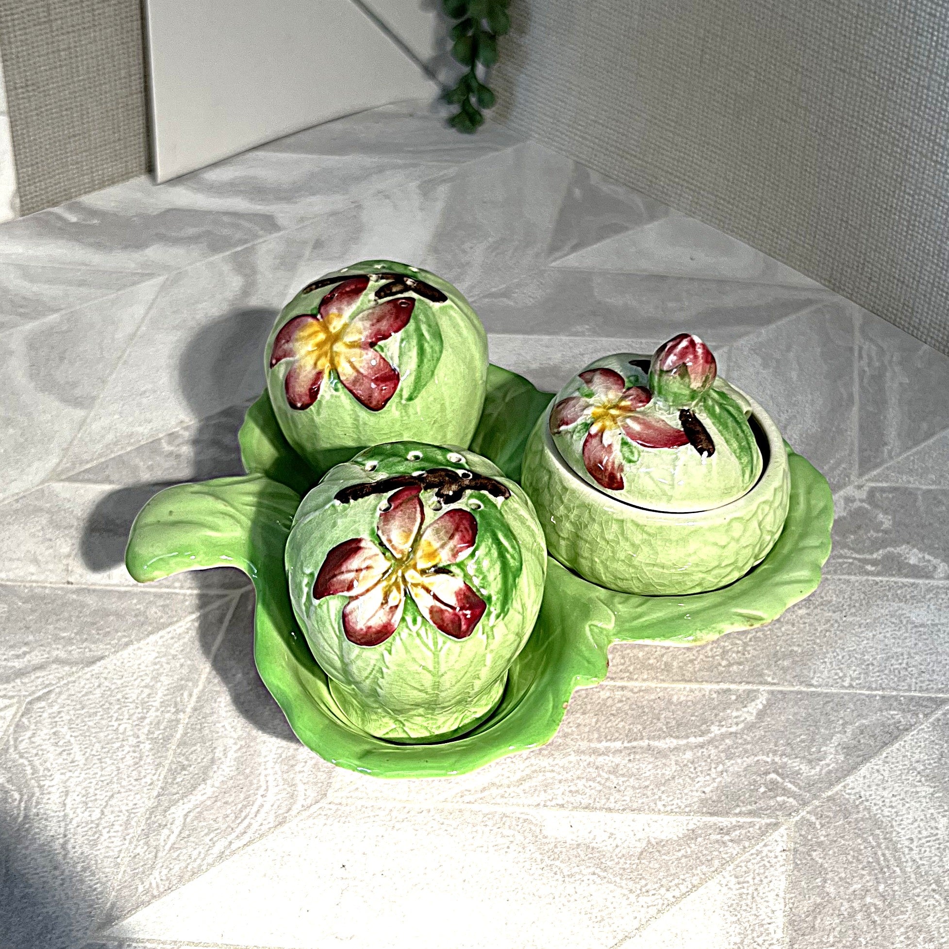 CarltonWare: Apple Blossom Cruet Set