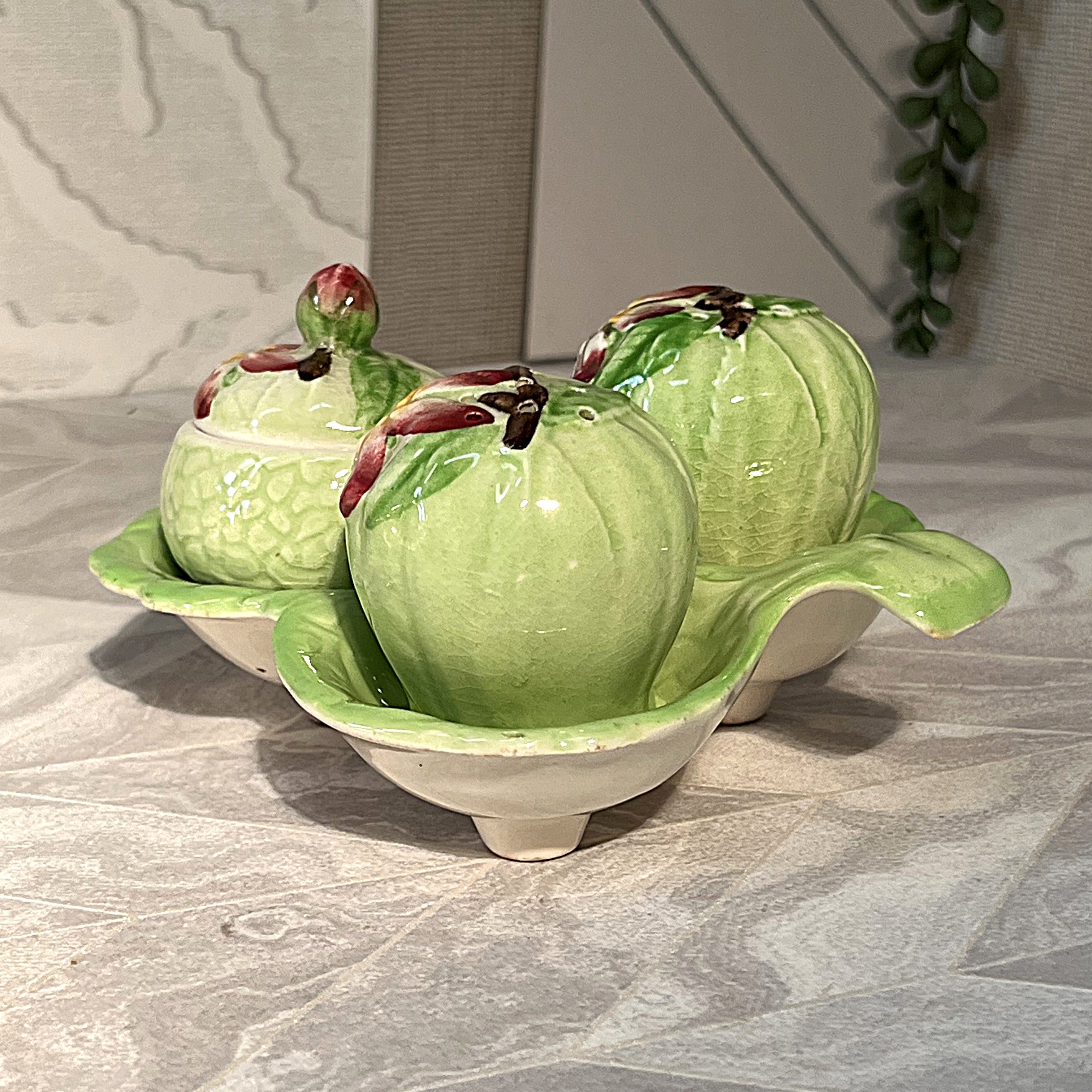 CarltonWare: Apple Blossom Cruet Set