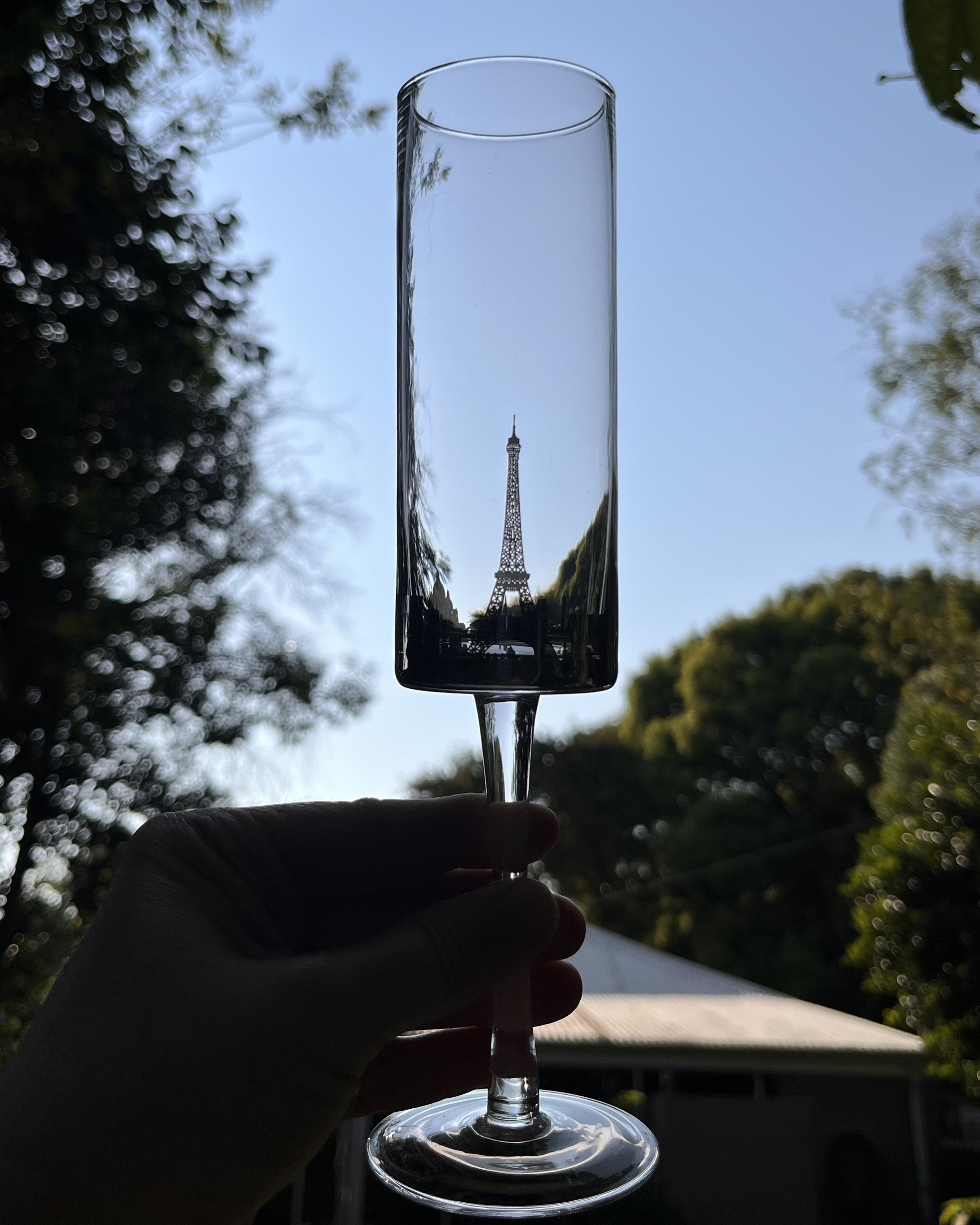 Stemware: Champagne Flutes, Paris Skyline, 6