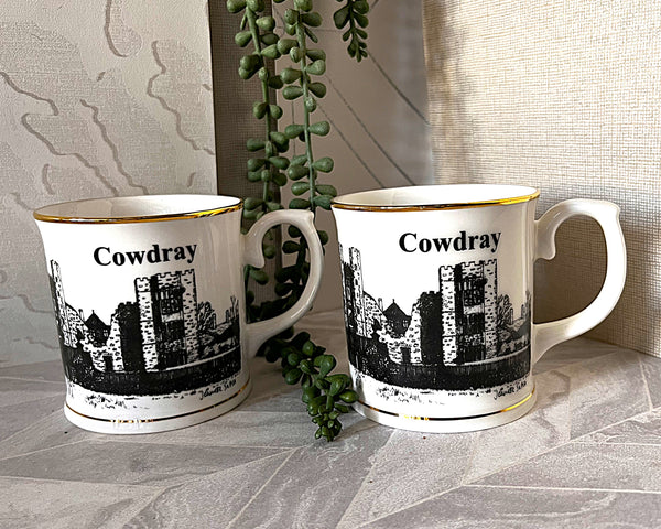 Coffee Mugs: Janet Shaw Cowdray Ruins, Pair