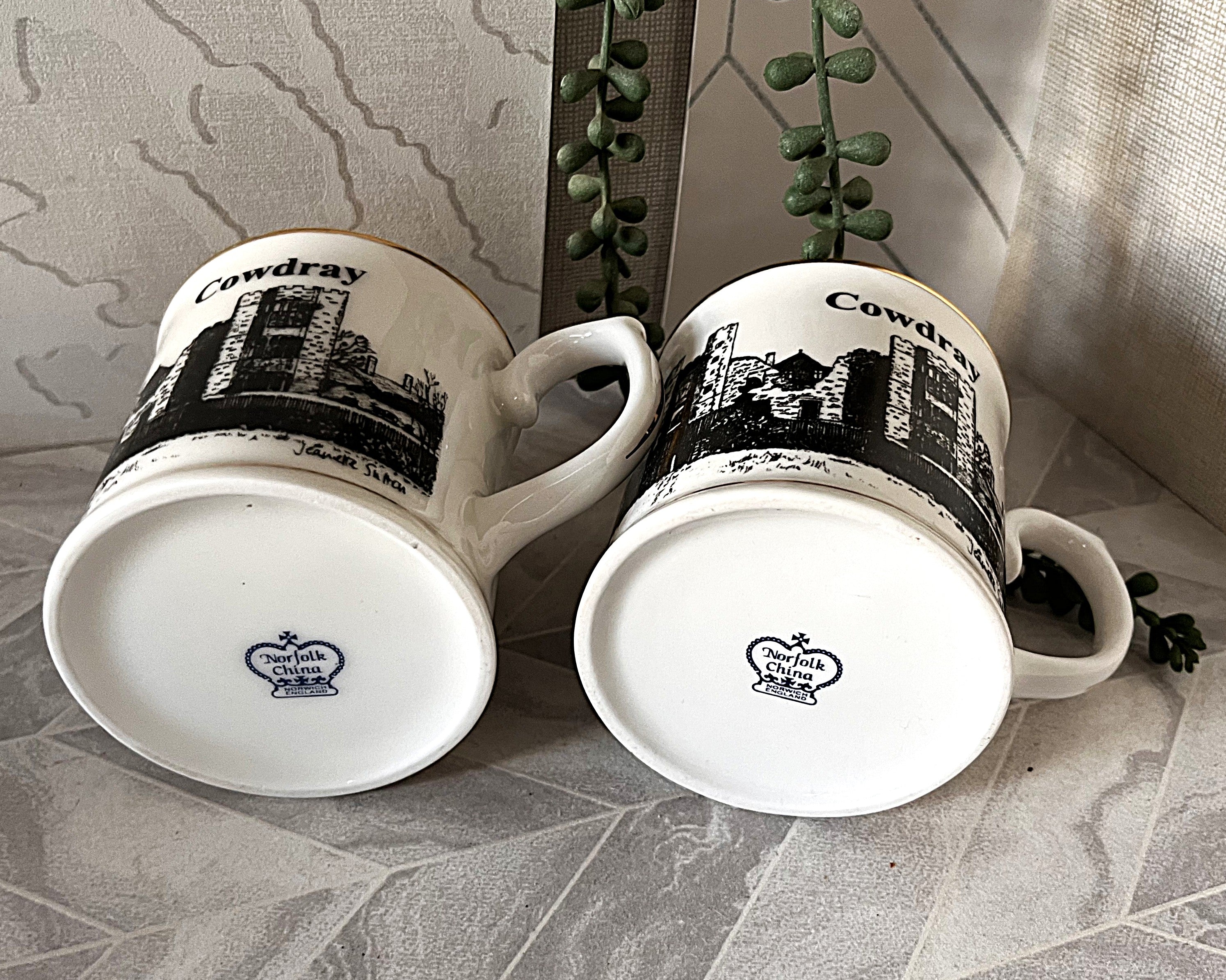 Coffee Mugs: Janet Shaw Cowdray Ruins, Pair
