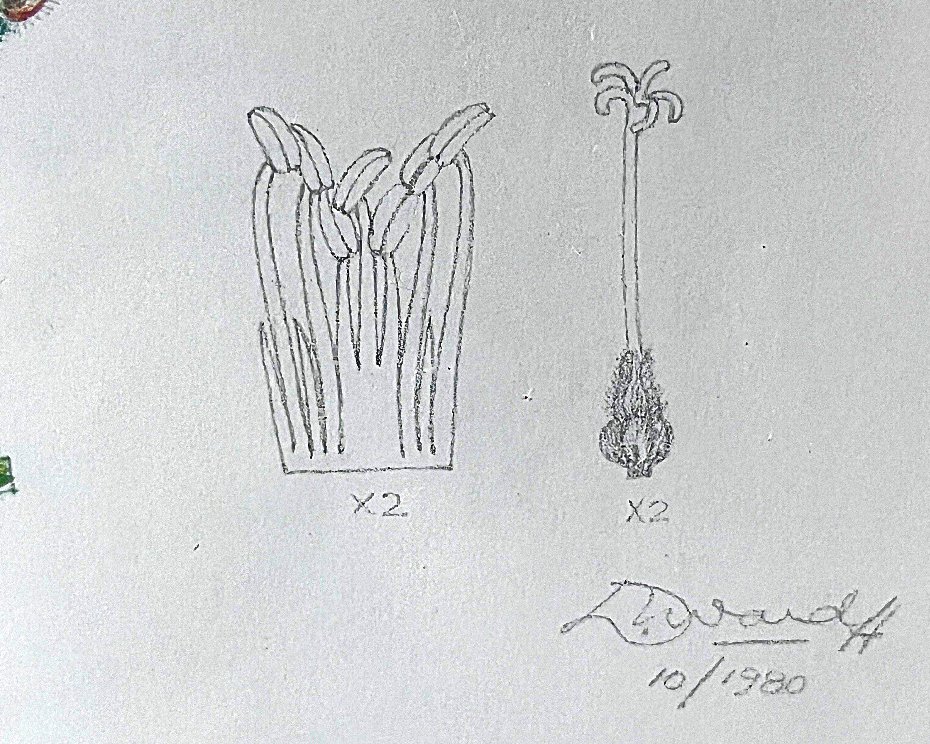 Wall Art: Botanical Plate Original by Ellaphie Ward-Hilhorst (Pelargonium cucullatum)