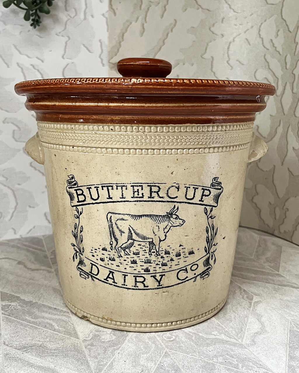 Collectible Stoneware: Buchan Portobello "Buttercup Dairy Co" 5LB Stoneware Crock & Original Lid Circa 1904