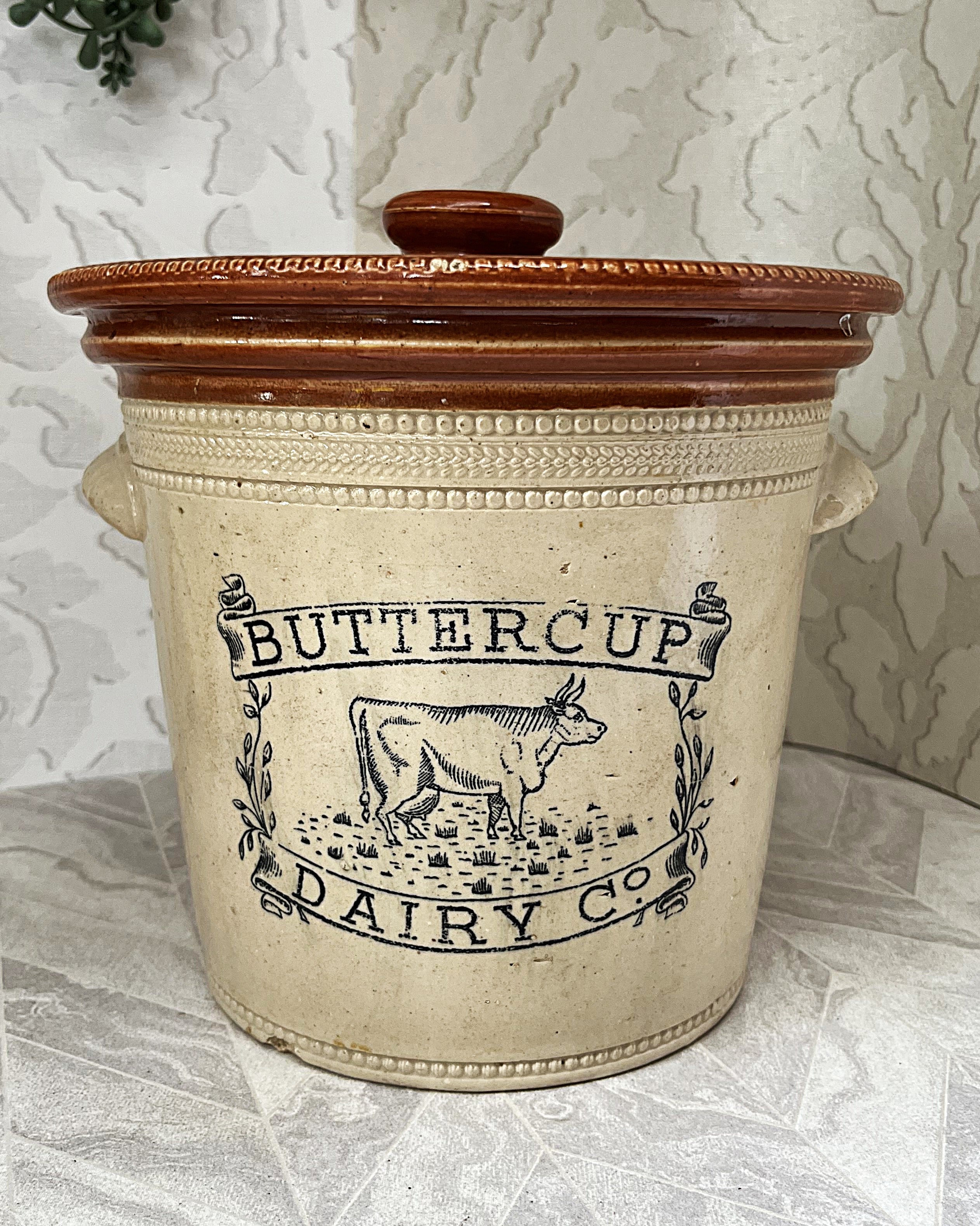 Collectible Stoneware: Buchan Portobello "Buttercup Dairy Co" 5LB Stoneware Crock & Original Lid Circa 1904