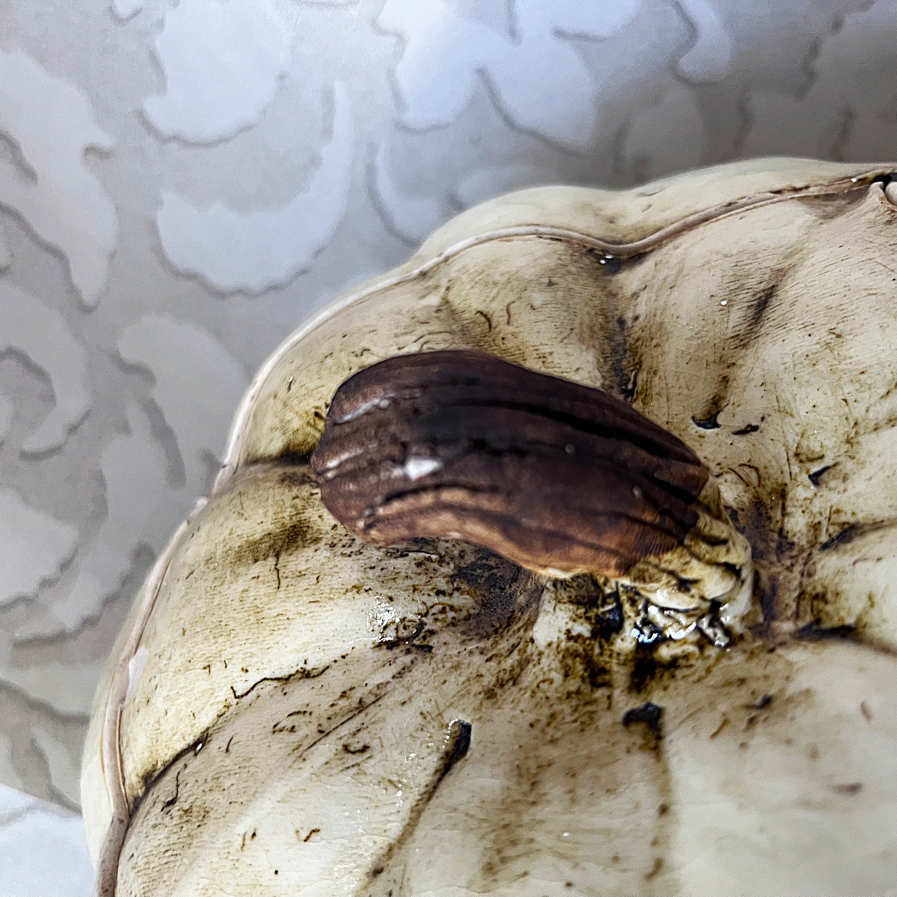 Studio Pottery: Organic Sculptural Pumpkin Storage Jar