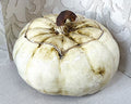 Studio Pottery: Organic Sculptural Pumpkin Storage Jar