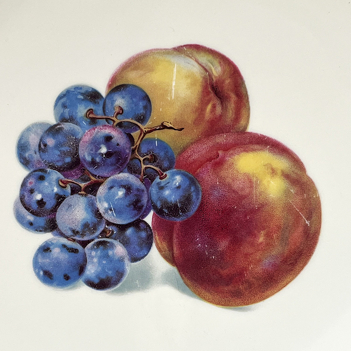 Decorative Plates: Thomas Germany Rosenthal Fruit Motif Cabinet Plates, 2