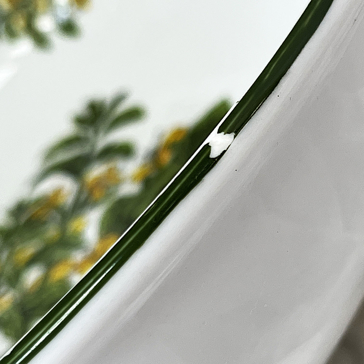 Dinnerware: Wiesenthal Porzellan Germany "Herb Garden" Basil Salad Bowl