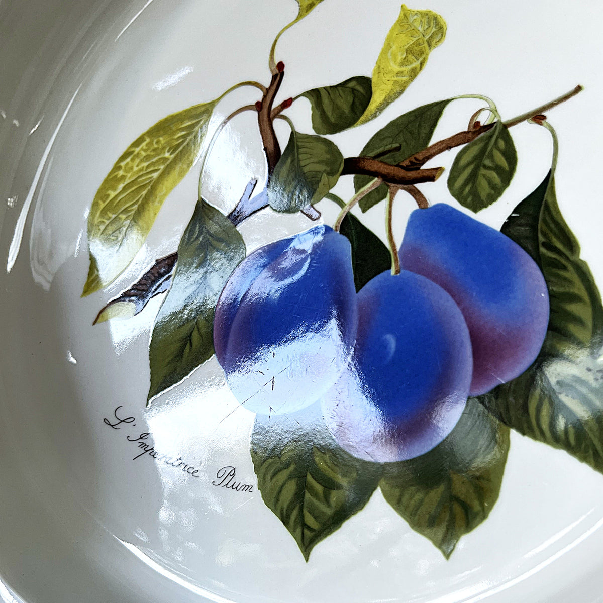 Baking Dish: Portmeirion Pomona L'Imperatice Plum Flan Tart Dish