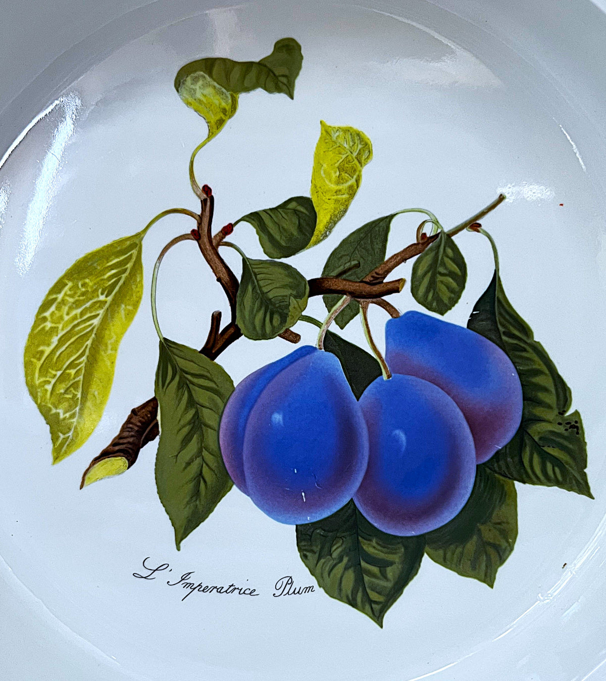 Baking Dish: Portmeirion Pomona L'Imperatice Plum Flan Tart Dish