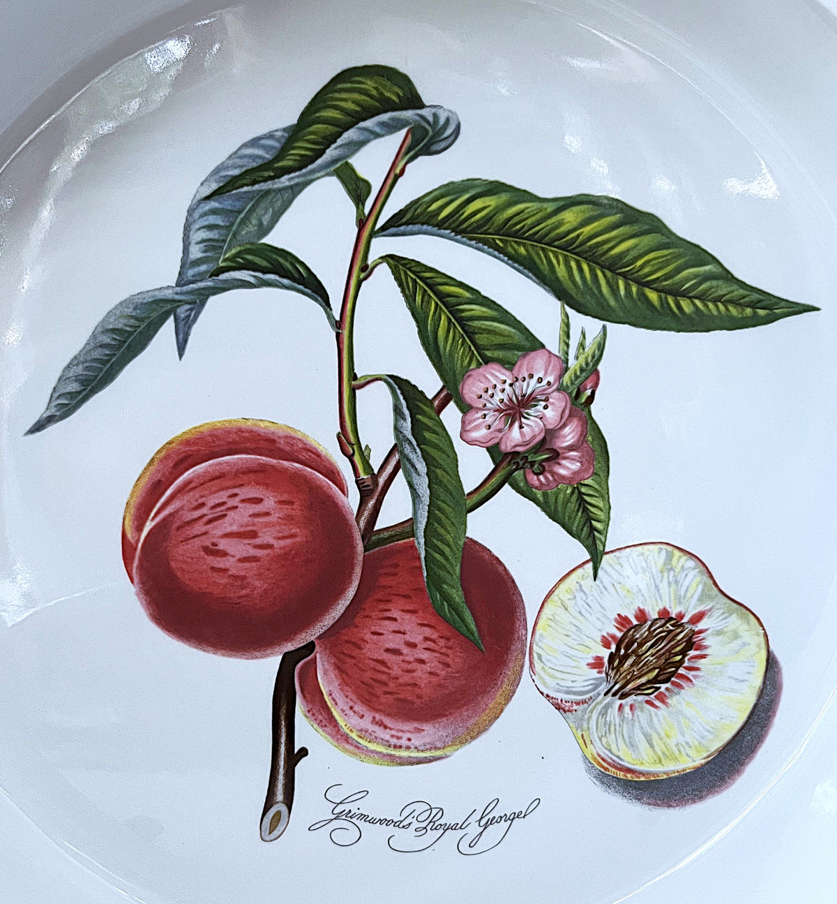 Baking Dish: Portmeirion Pomona Grimwood's Royal George Peach Flan Tart Dish