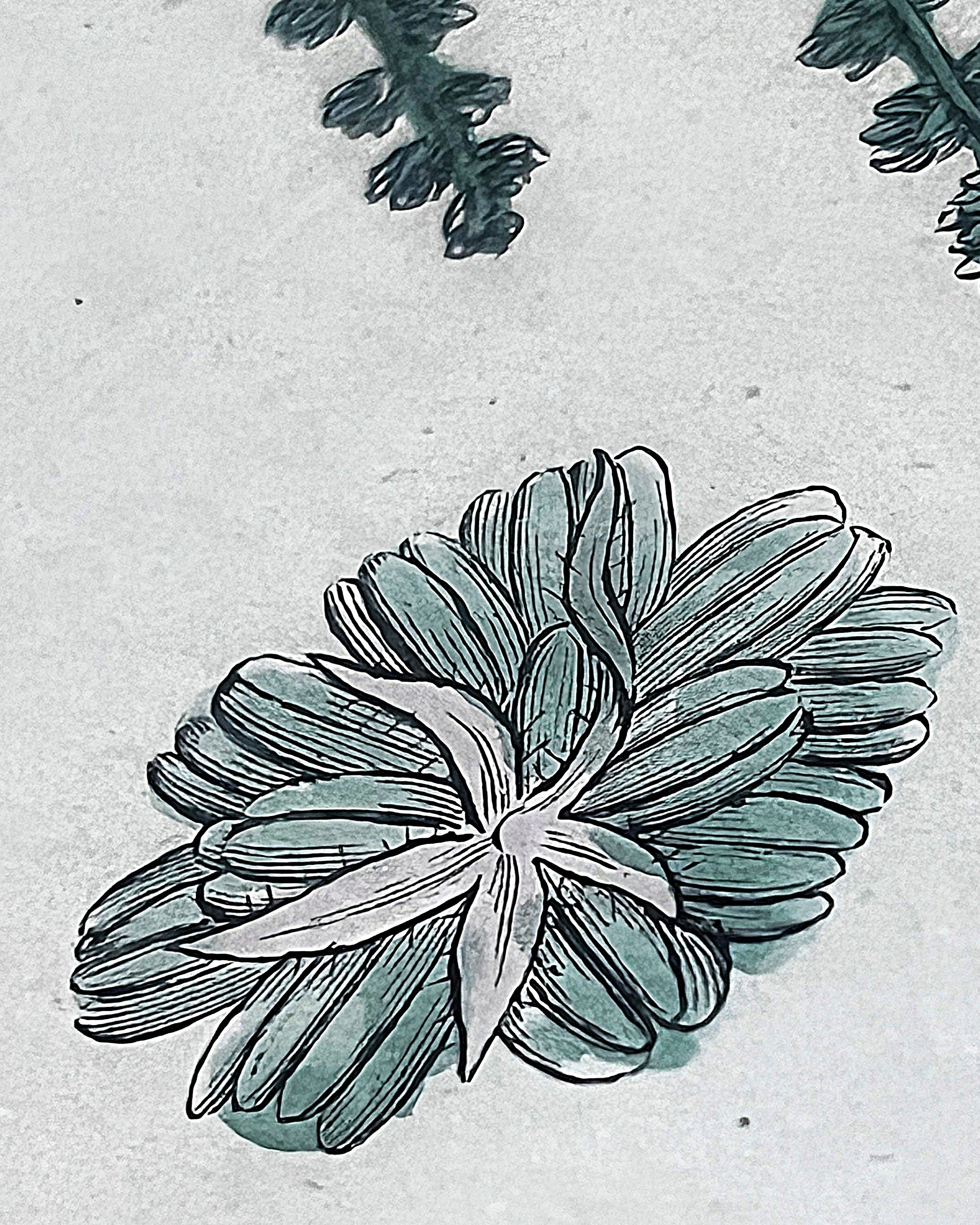 Wall Art: English Botany Sessile Oak Print Plate 1289