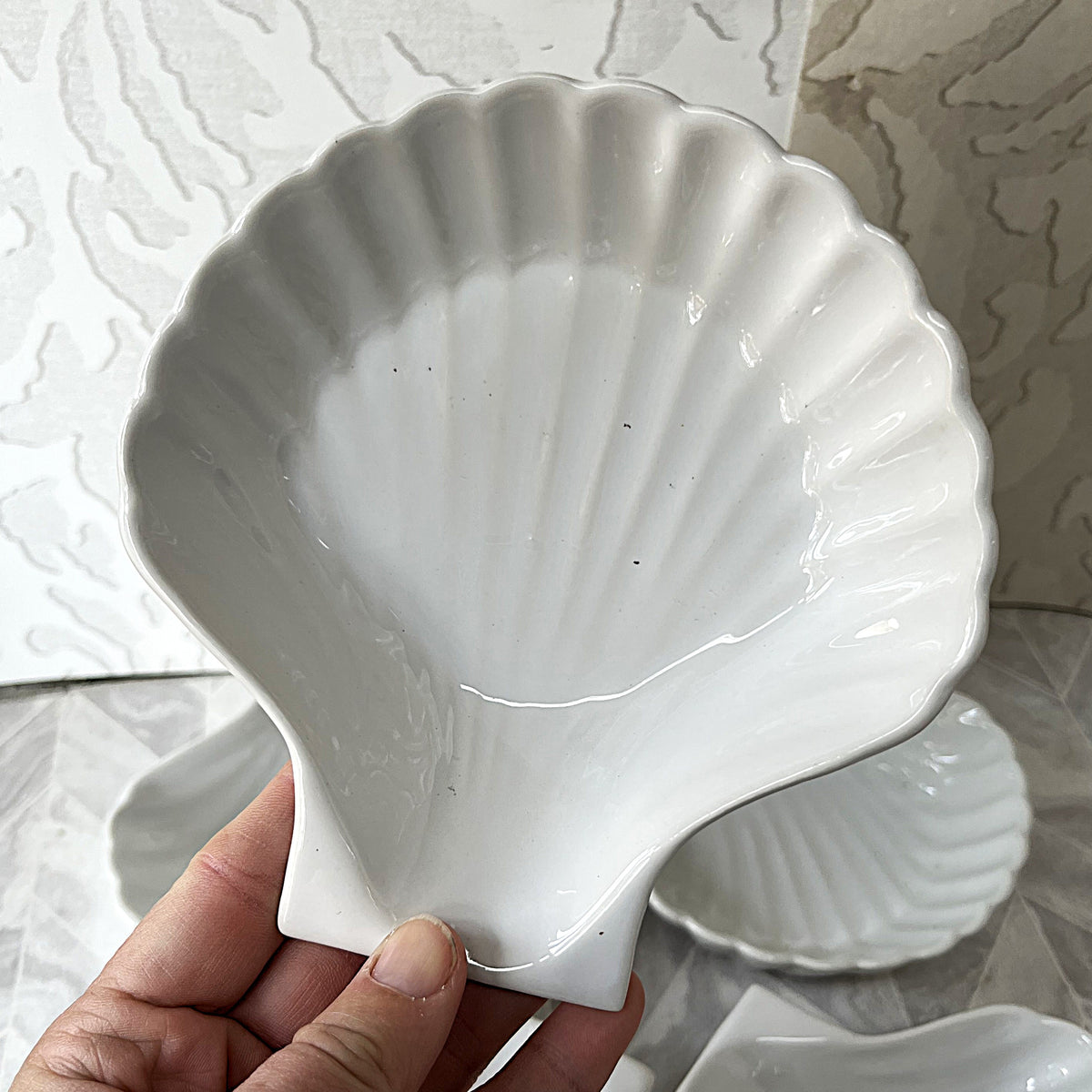 Ramekins: Ceramic Scallop Shell Seafood Ramekin Dishes, 6