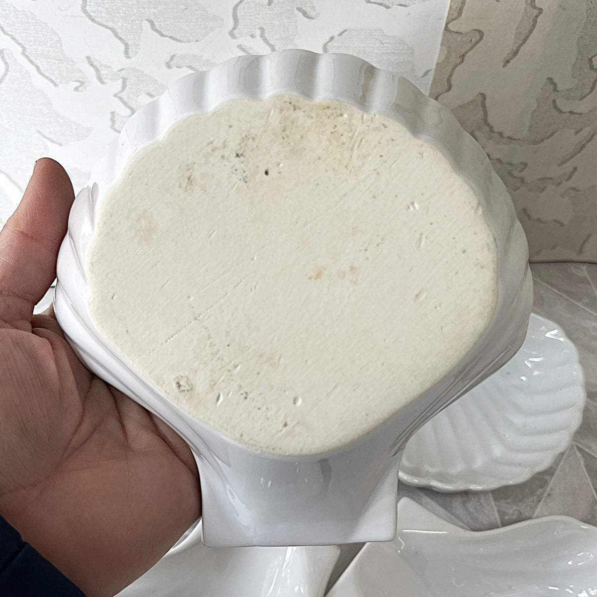 Ramekins: Ceramic Scallop Shell Seafood Ramekin Dishes, 6