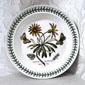 Dinnerware: Portmeirion The Botanic Garden, Arctotis Grandiflora, Dinner Plate