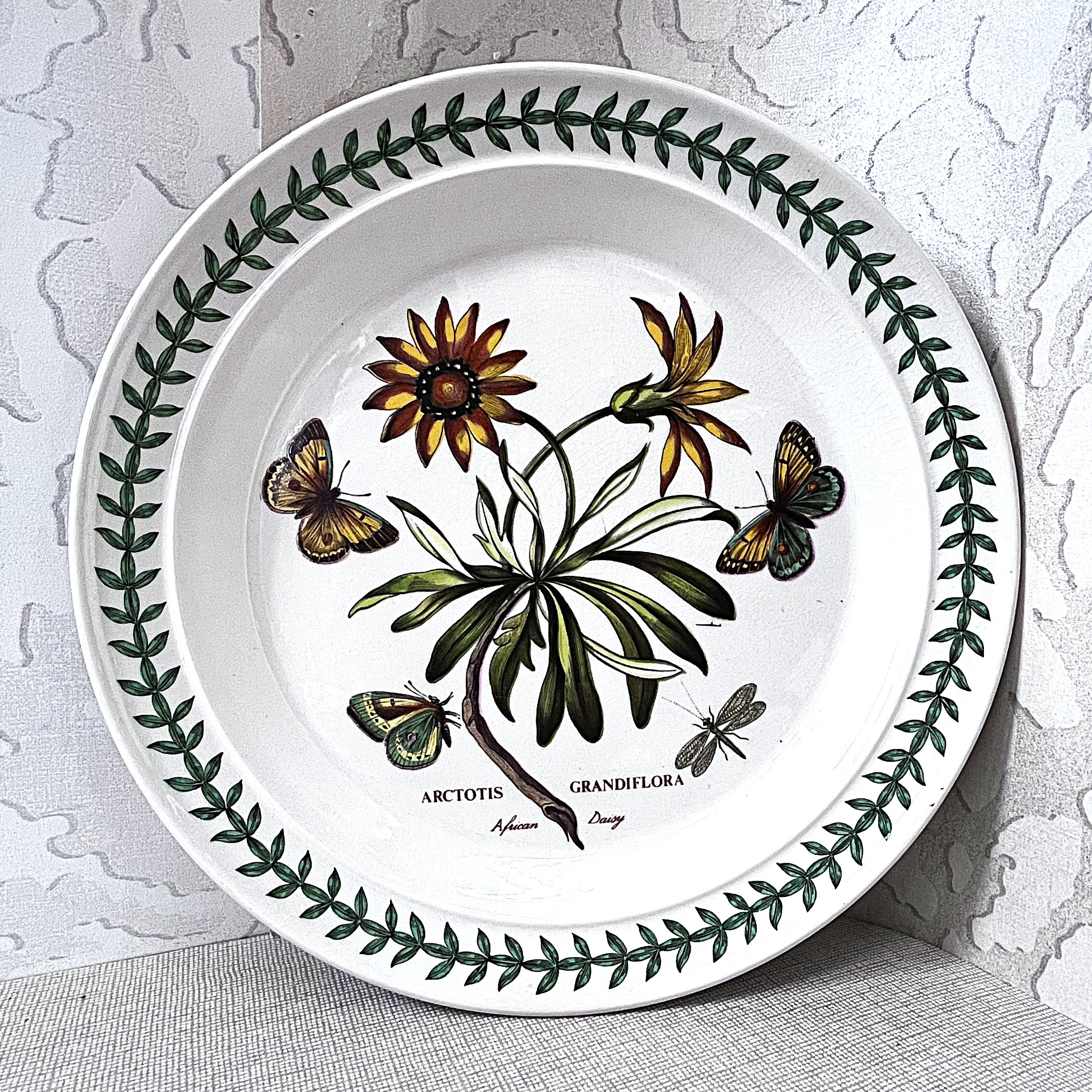 Dinnerware: Portmeirion The Botanic Garden, Arctotis Grandiflora, Dinner Plate