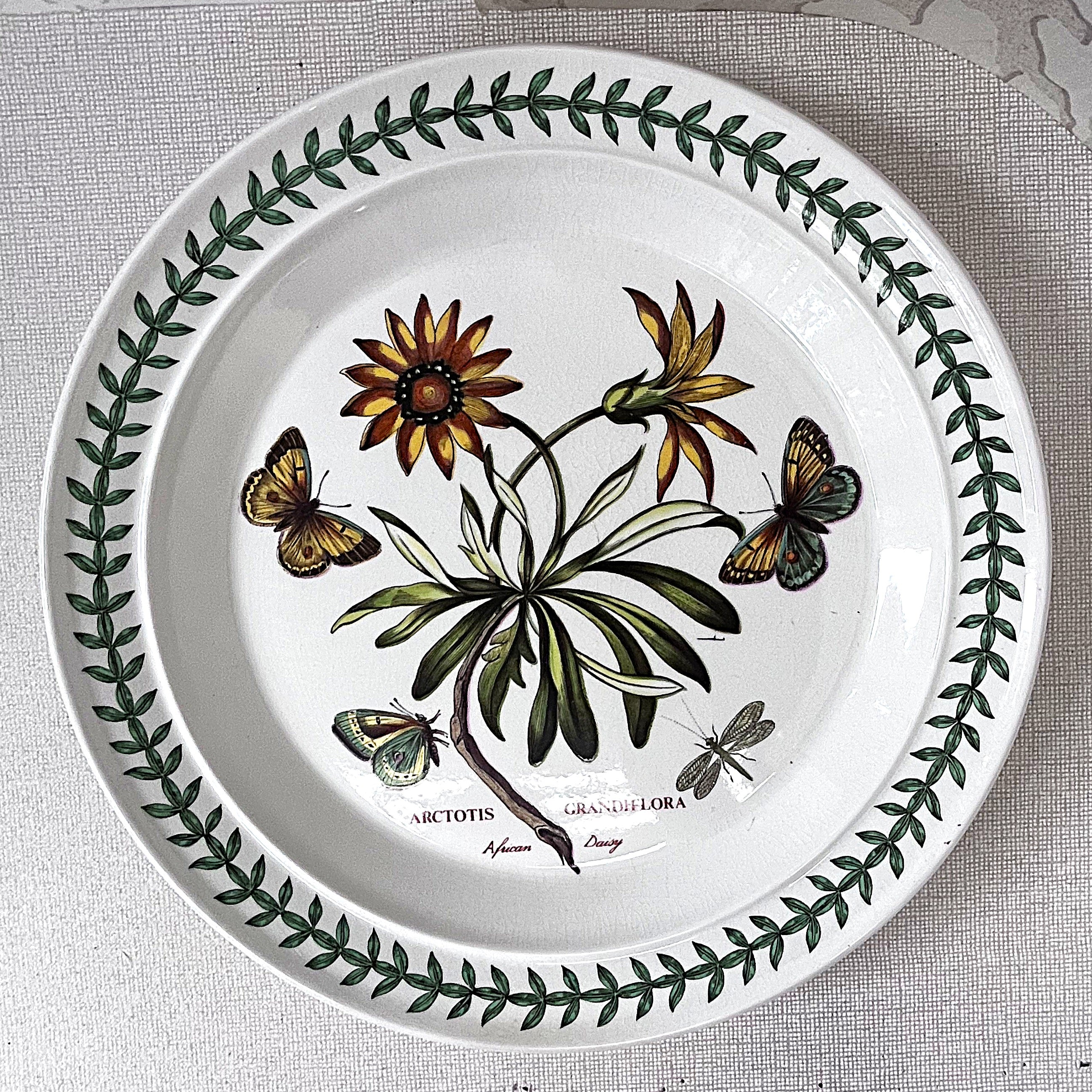 Dinnerware: Portmeirion The Botanic Garden, Arctotis Grandiflora, Dinner Plate