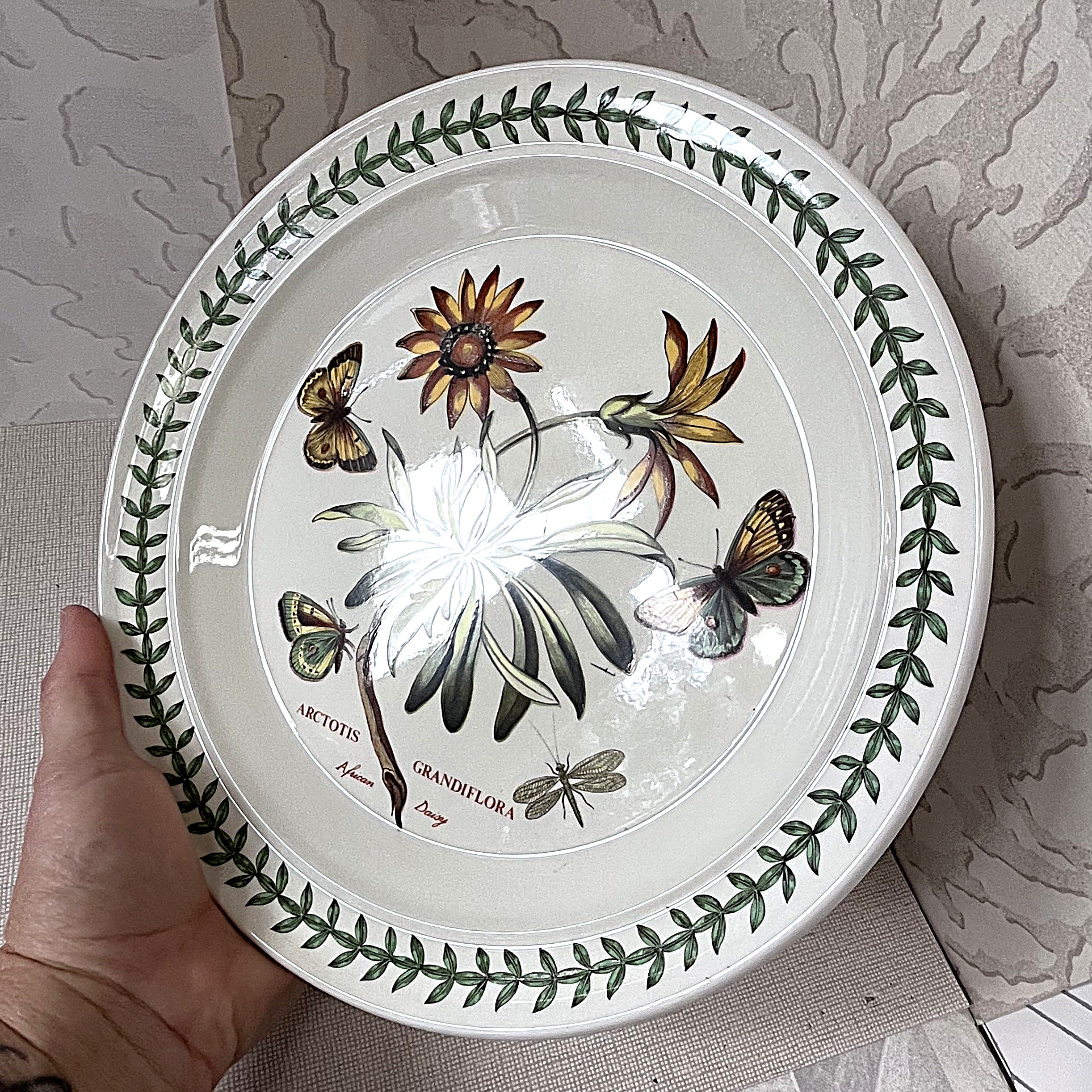 Dinnerware: Portmeirion The Botanic Garden, Arctotis Grandiflora, Dinner Plate