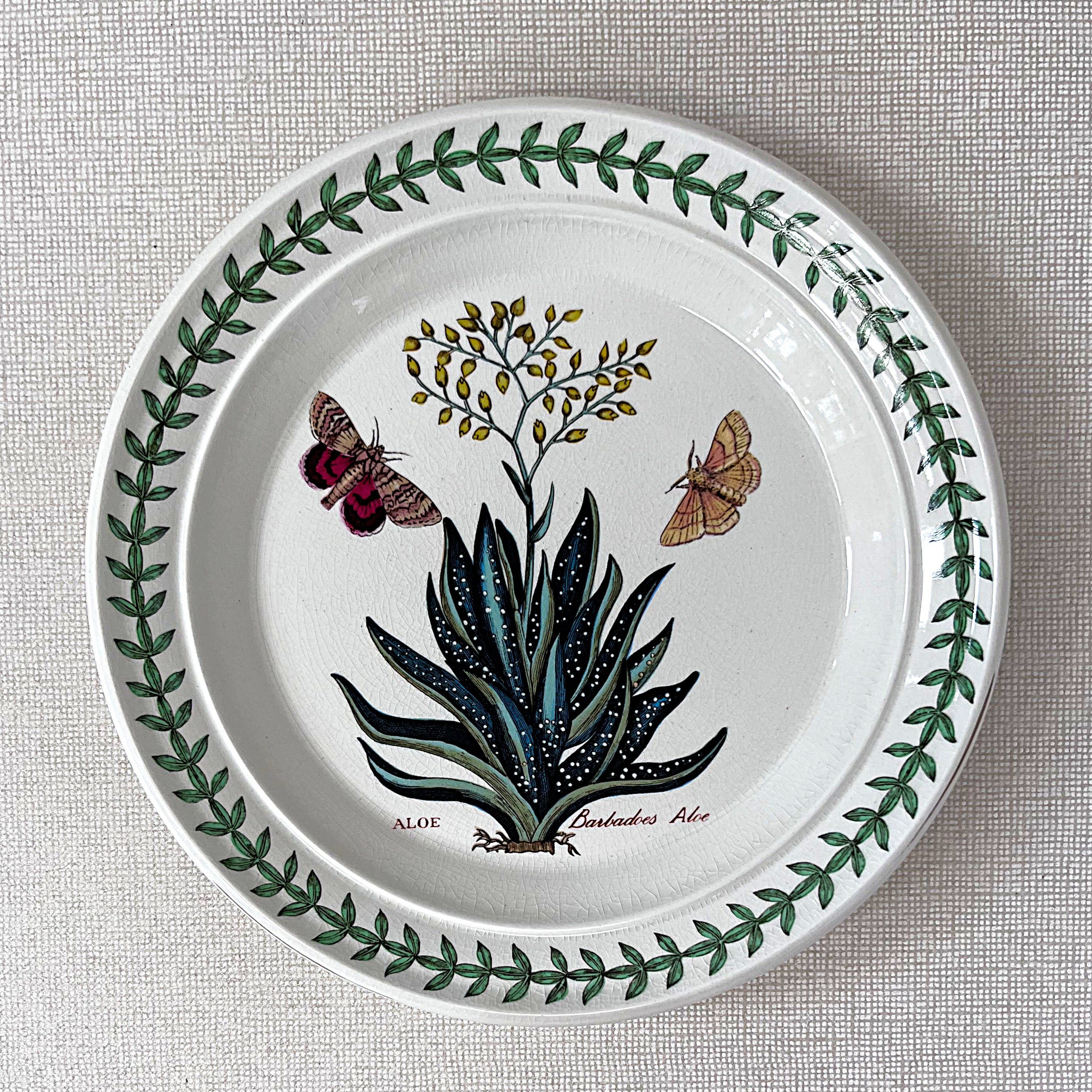 Dinnerware: Portmeirion The Botanic Garden, Barbadoes Aloe, Bread & Butter Plate