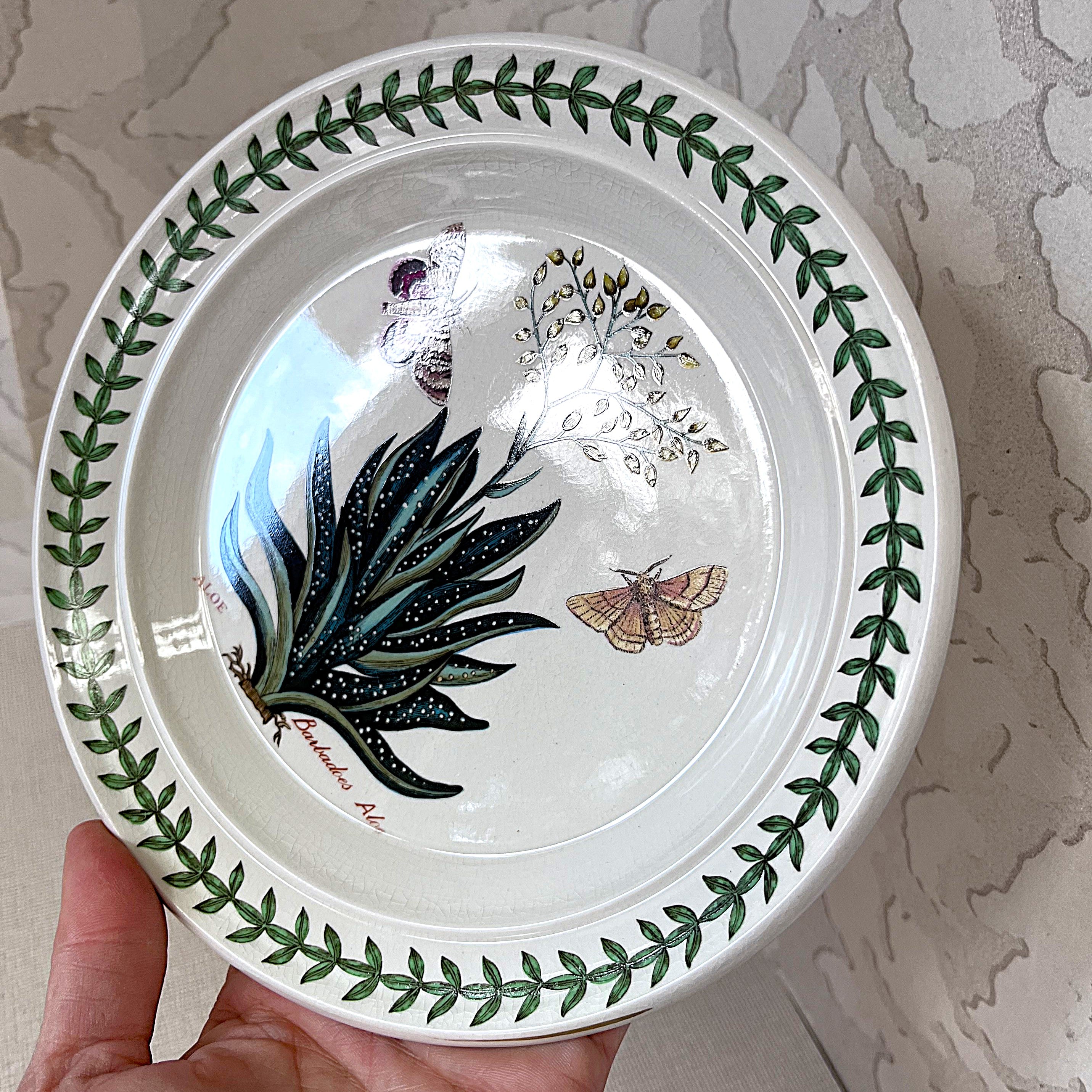 Dinnerware: Portmeirion The Botanic Garden, Barbadoes Aloe, Bread & Butter Plate