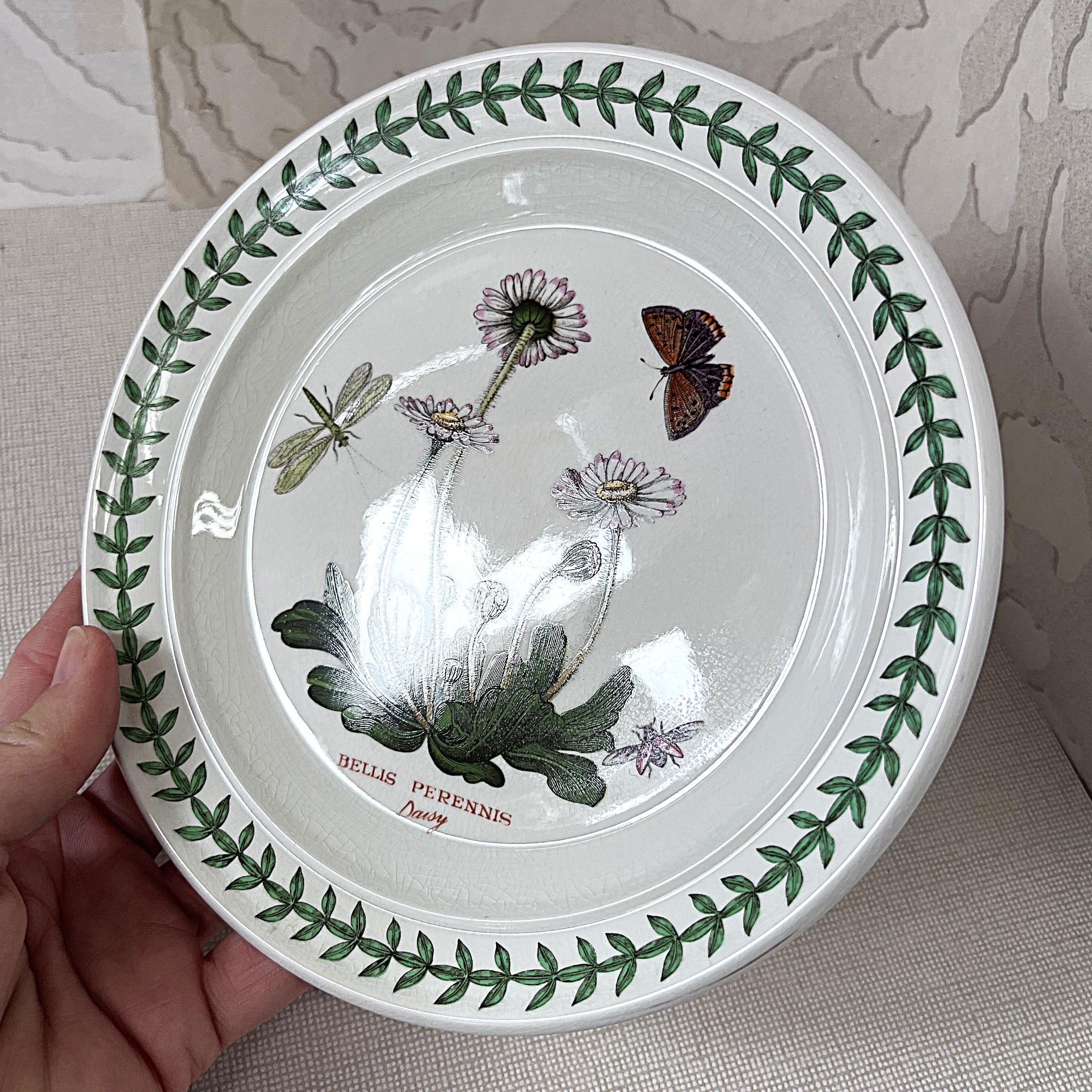 Dinnerware: Portmeirion The Botanic Garden, Bellis Perennis, Bread & Butter Plate