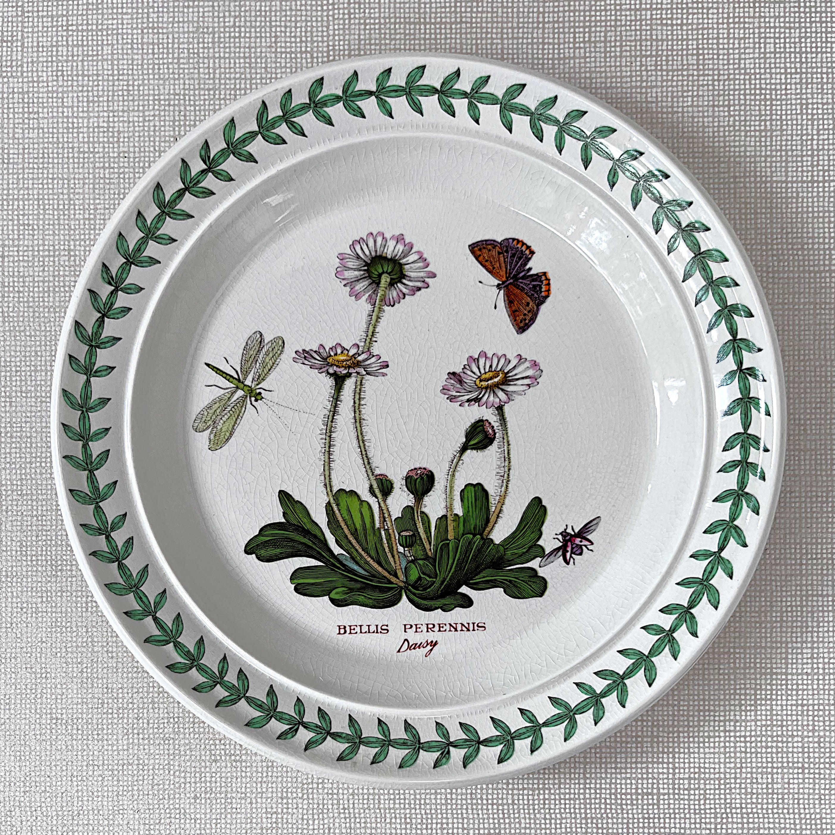 Dinnerware: Portmeirion The Botanic Garden, Bellis Perennis, Bread & Butter Plate