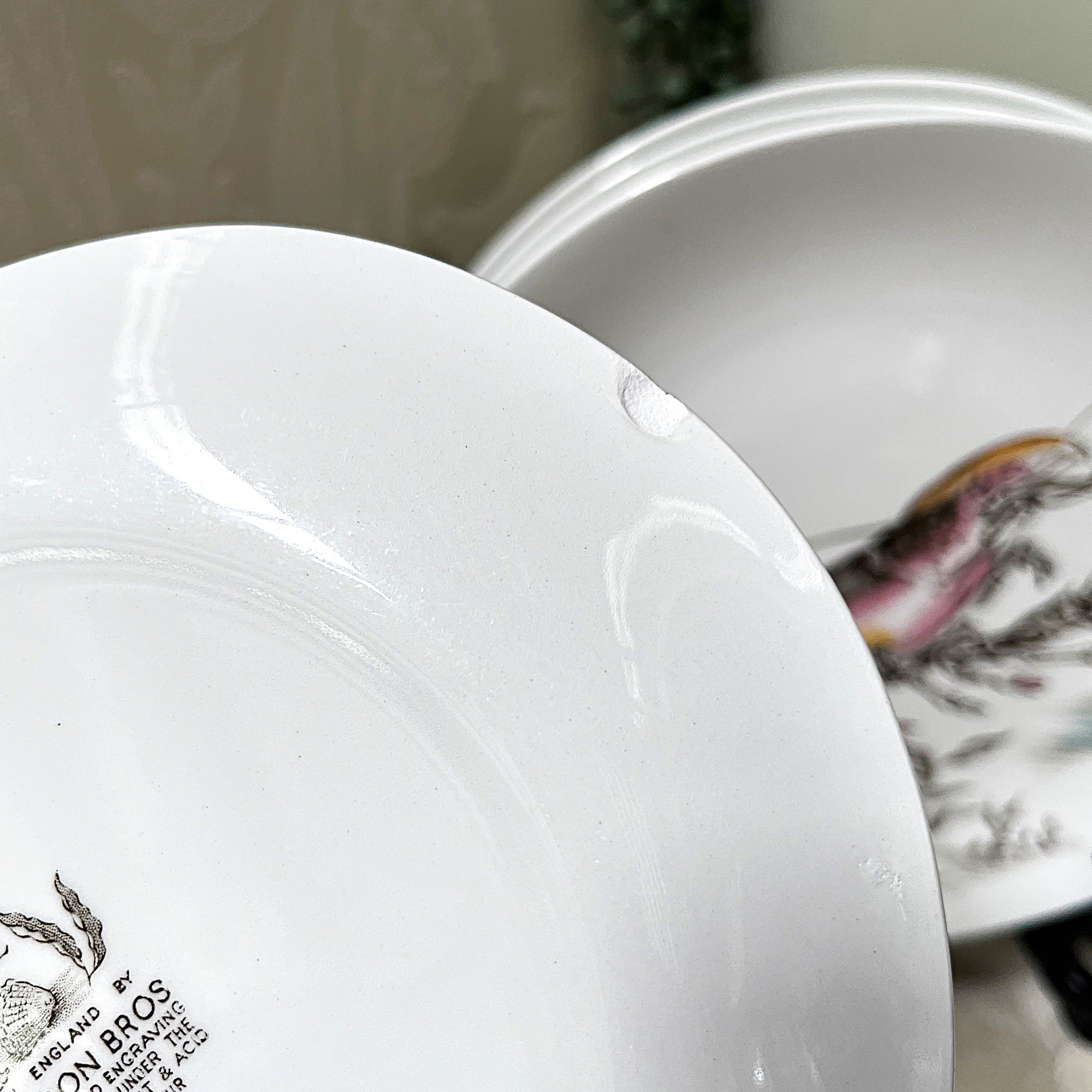 Dinnerware: Johnson Brothers Seafare Collection, 10