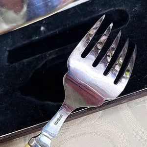 Cutlery Boxed: Antique Edwardian Fish Serving Set with Bakelite Handles