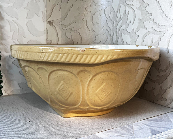 Vintage Mixing Bowls: T.G. Green Cane & White: Gripstand Mixing Bowl  X-Large
