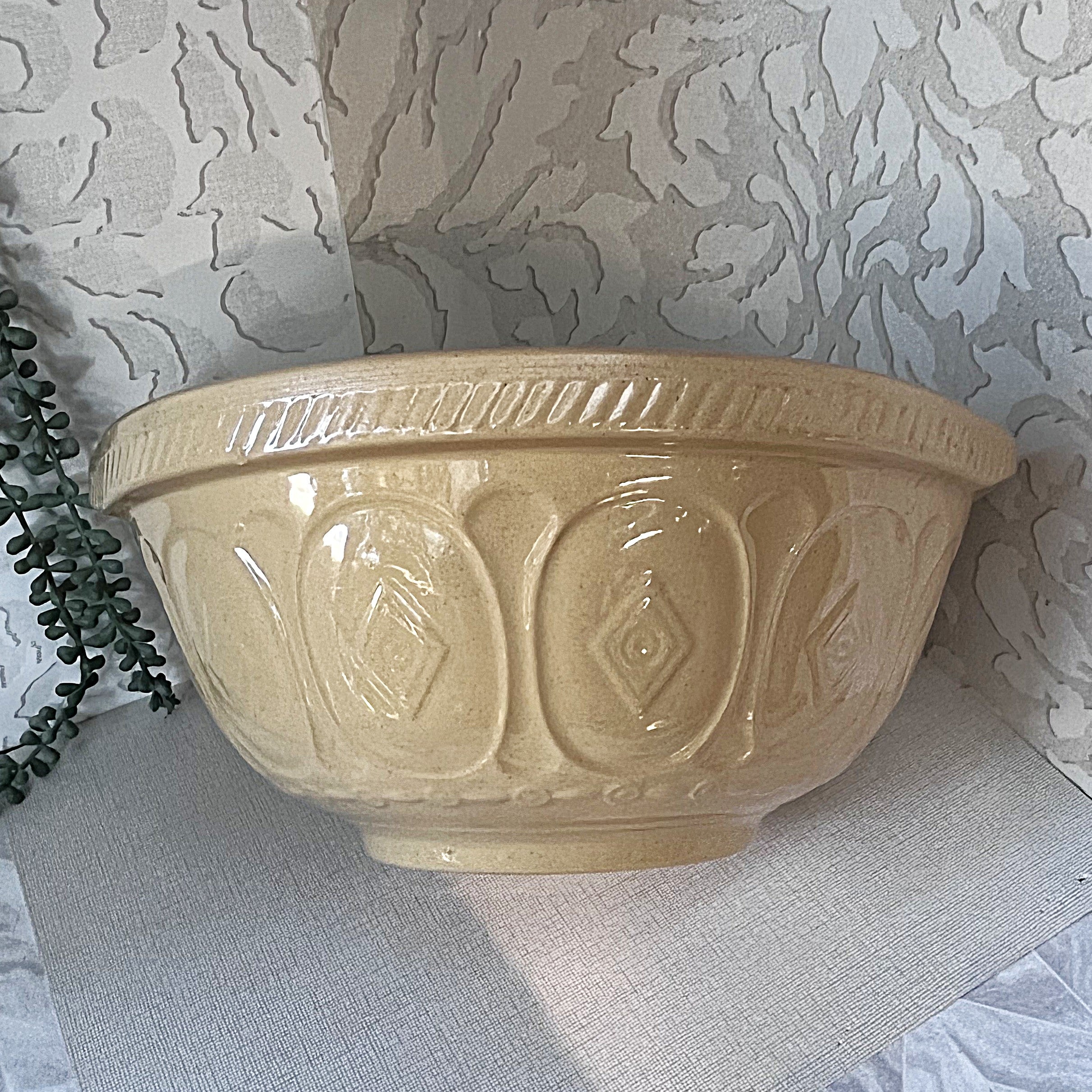 Vintage Mixing Bowls: T.G. Green Cane & White: Gripstand Mixing Bowl  X-Large