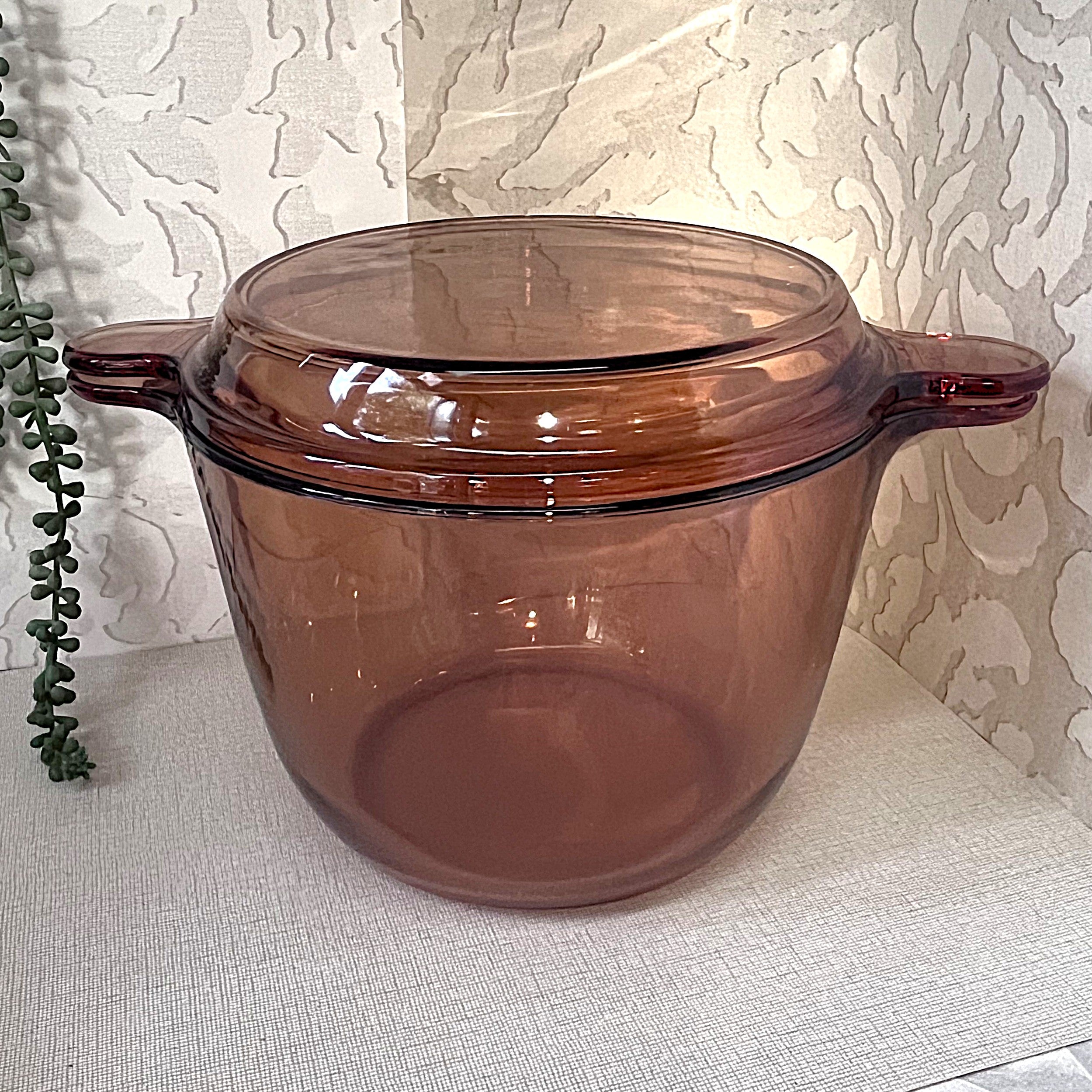 Vision Ware: 5L Visions Ware Deep Master Stock Pot