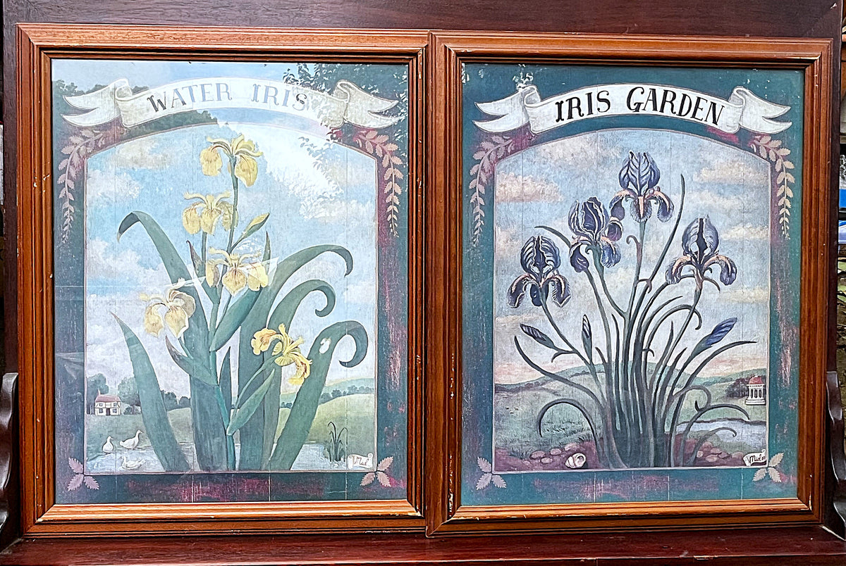 Botanical Art: Decorative Country Décor, Framed Irises