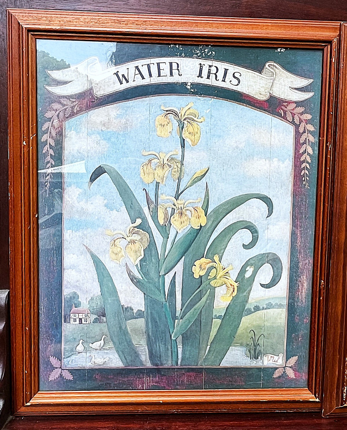Botanical Art: Decorative Country Décor, Framed Irises