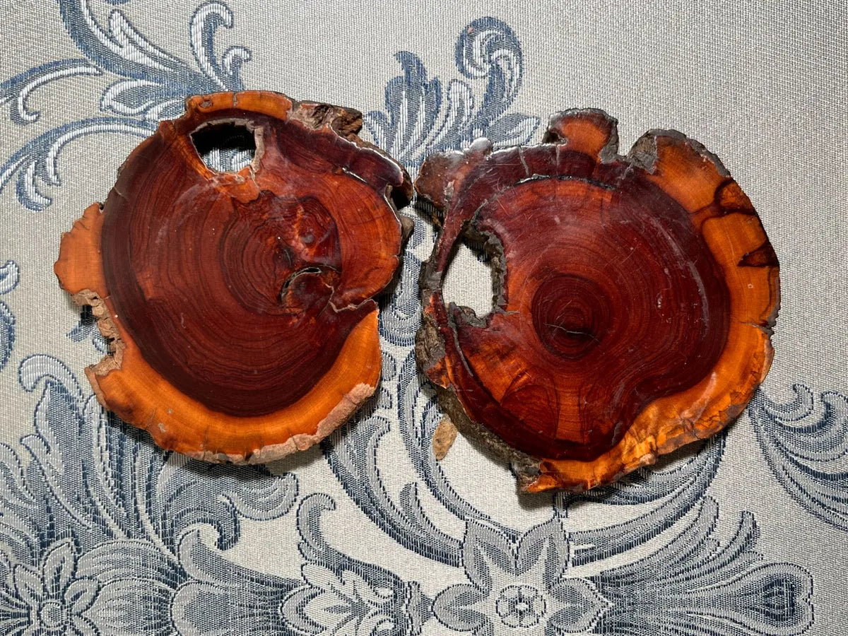 Coasters: Sliced Matumi / Mesquite Live-Edge Wood Coasters