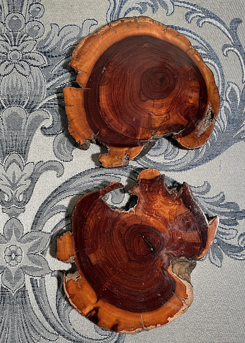 Coasters: Sliced Matumi / Mesquite Live-Edge Wood Coasters