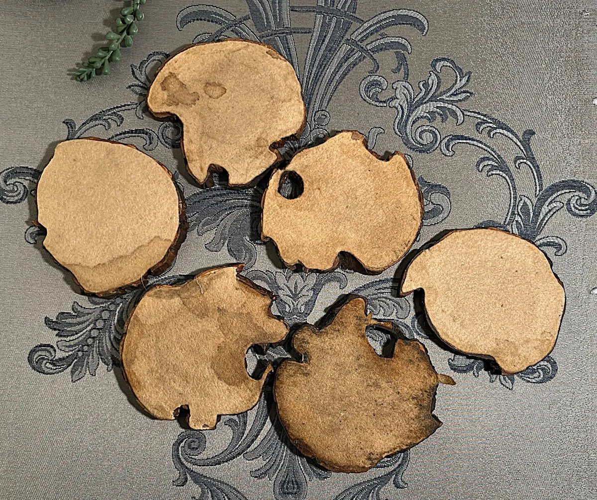 Coasters: Sliced Matumi / Mesquite Live-Edge Wood Coasters