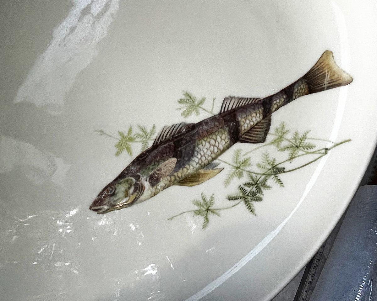 Dinnerware: Porzellan-Manufaktur Händel Bavaria Oval Fish & Dragonfly Serving Platter